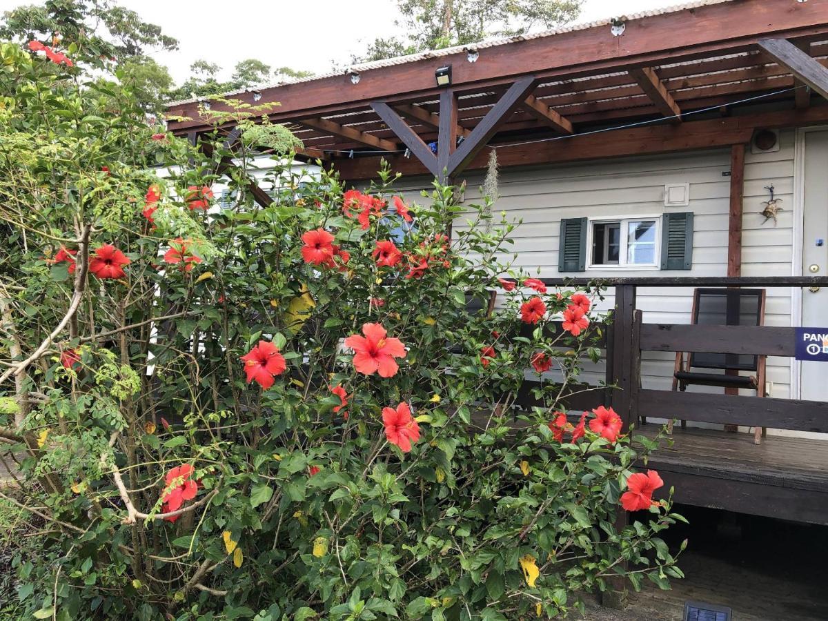 Panorama Ocean View Cottage Motobu Exterior photo